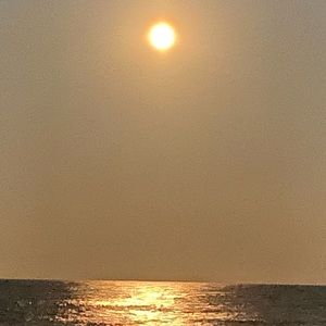 Meet your Posher, Cynthia